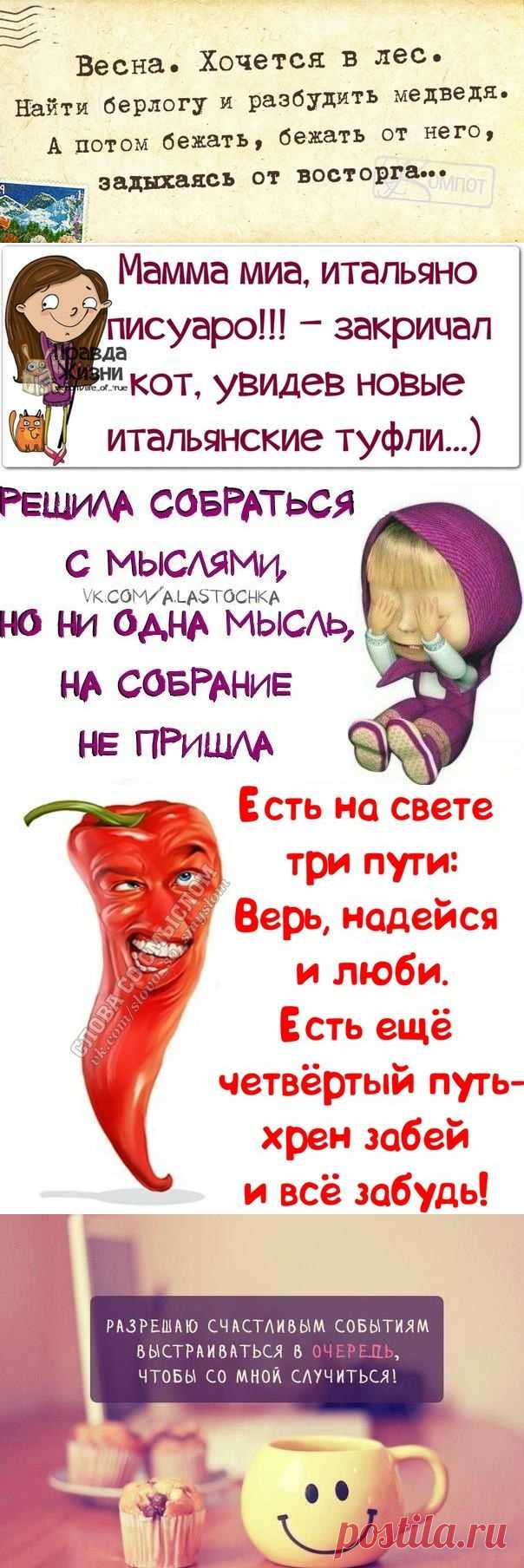 Прикольные фразочки в картинках.