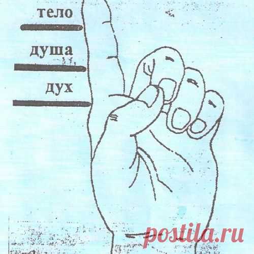 Человек, кто и что это?