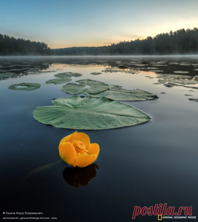 s_p_o_790_1410193061_big.jpg (Изображение JPEG, 990 × 1111 пикселов)