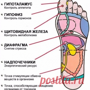 7 АКТИВНЫХ ТОЧЕК НА СТОПЕ ВЕРНУТ ТЕБЯ К ЖИЗНИ ЗА ПАРУ МИНУТ!