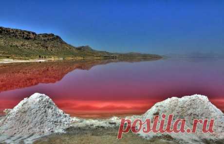 РОЗОВОЕ ОЗЕРО Махарлу, Иран Махарлу — это удивительной красоты озеро розового цвета, может запросто быть иллюстрацией к "Марсианским Хроникам" Брэдбери. Оно расположено в провинции Фарс, недалеко от города Шираз. ⠀ Уникальность озера заключается в его цвете: особый вид водорослей из-за высокой солености воды и небольшой глубины меняет свой цвет, окрашивая озеро в ярко-розовый цвет. Во время засушливого сезона часть озера высыхает. Еще одно чудо местности – это розовые флам...