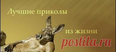 Лучшие приколы из жизни