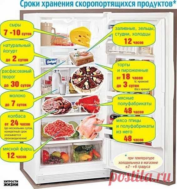 Сроки хранения скоропортящихся продуктов.