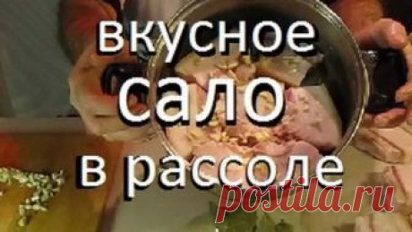 ЗАСОЛКА САЛА В РАССОЛЕ