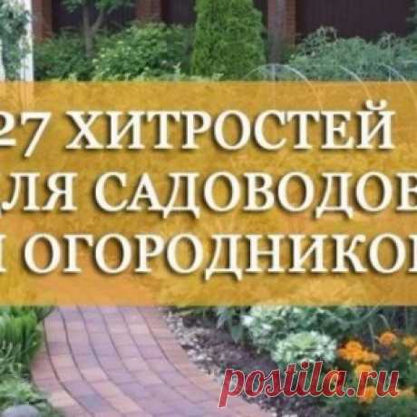 ПРОСТЫЕ ХИТРОСТИ ДЛЯ САДА И ДАЧИ