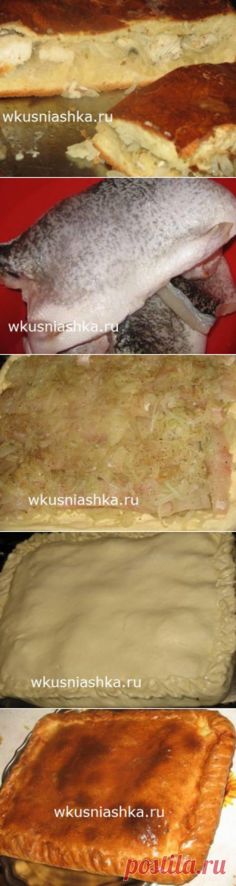 пирог из щуки рецепт с фото | Кулинарные рецепты вкусно