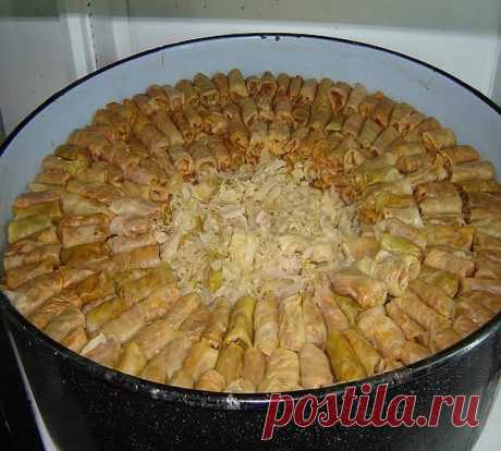10 самых вкусных рецептов голубцов - обязательно сохраните! 
=====================================================
Чтобы не потерять рецепт,  жмите класс, а потом поделиться
=====================================================
1. Голубцы с грибами

- белокочанная капуста - 8-10 листьев 
- вода 
- соль - по вкусу 
- растительное масло - 2 ст. л. 
для начинки: 
- свежие грибы - 500 г или сушеные грибы - 100 г 
- томатная паста - 1-2 ст. л. 
- рассыпчатая рисовая каша - 1/2 ...