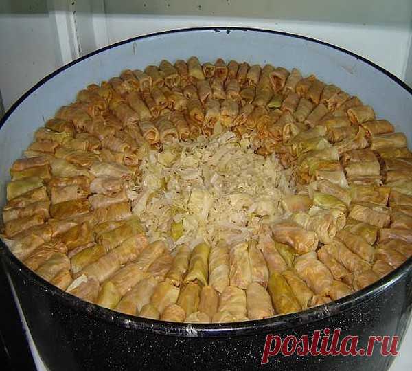 10 самых вкусных рецептов голубцов - обязательно сохраните! 
=====================================================
Чтобы не потерять рецепт,  жмите класс, а потом поделиться
=====================================================
1. Голубцы с грибами

- белокочанная капуста - 8-10 листьев 
- вода 
- соль - по вкусу 
- растительное масло - 2 ст. л. 
для начинки: 
- свежие грибы - 500 г или сушеные грибы - 100 г 
- томатная паста - 1-2 ст. л. 
- рассыпчатая рисовая каша - 1/2 ...