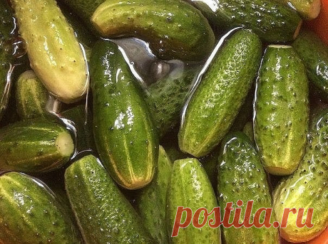 Самый вкусный рецепт соленых огурчиков, которым пользуюсь уже 20 лет! Для тех, кто любит хрустящей и острое!!! 
 
Я получила его, когда училась у деревенской бабушки- травницы, в глухой деревушке на Алтае. До того момента считала, что все огурцы ужасны в солении - мягкие, водянистые, невкусные. До сих пор, пробуя огурцы у всех, кто не знает этого рецепта, ни разу не ела вкусных!!! Я- вегетарианка и для меня очень важны свежие овощи зимой, тем более свои!!! Рецепт простейши...