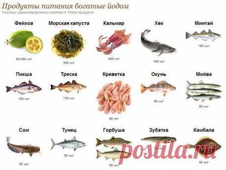 Йодная сеточка: какую несет пользу и вред - Новости здоровья - Оказывается, что йодную сеточку наносить на тело можно не каждому человеку - Новости Телеграф - Страница 2