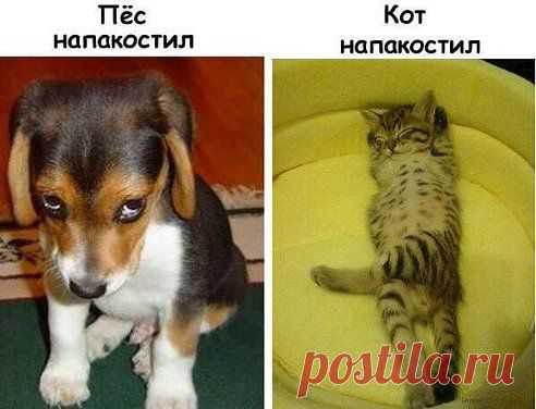 Svetlana ♥(ړײ)♥
Почувствуй разницу )))