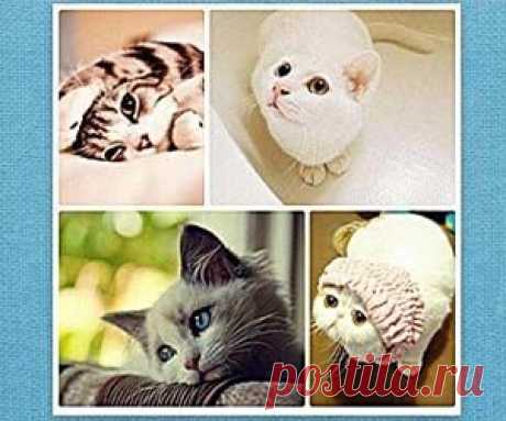 PhotoCat-puzzle – создание коллажа онлайн