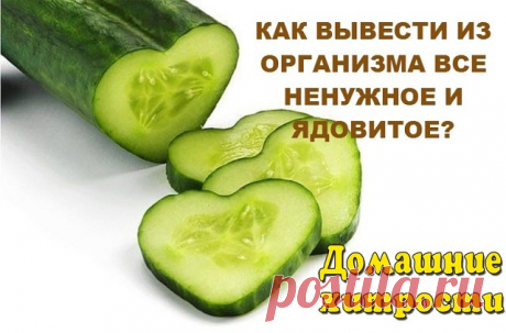 КАК ВЫВЕСТИ ИЗ ОРГАНИЗМА ВСЕ НЕНУЖНОЕ И ЯДОВИТОЕ?