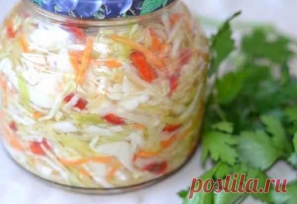 Маринованная быстрая капуста.