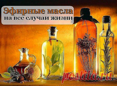 (24) Одноклассники