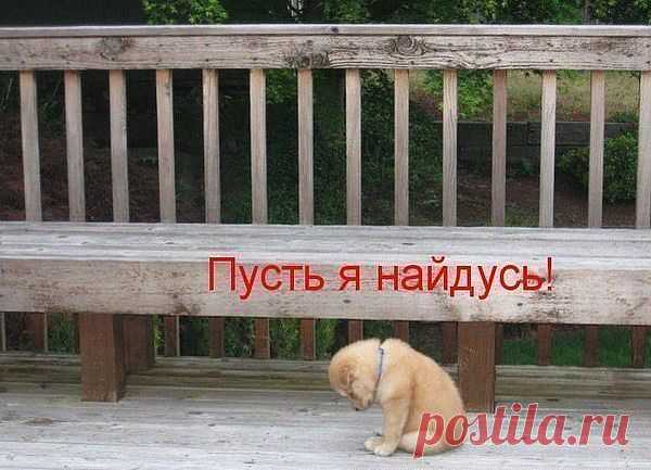 ДРУГ