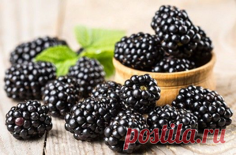 Вкусные рецепты