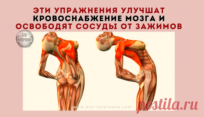 ЭТИ УПРАЖНЕНИЯ УЛУЧШАТ КРОВОСНАБЖЕНИЕ МОЗГА, ВЫПРЯМЯТ ПОЗВОНОЧНИК, ОСВОБОДЯТ СОСУДЫ ОТ ЗАЖИМОВ