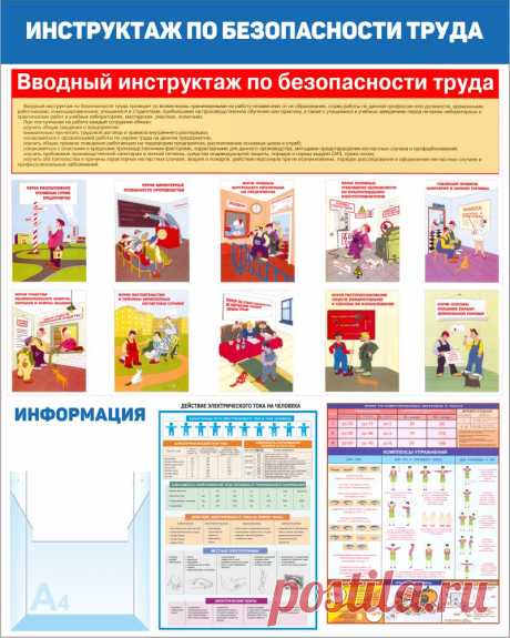 Купить Стенд охрана труда в детском саду 80х100 см в интернет магазине infostend.ru, характеристики, цена на Стенд охрана труда в детском саду 80х100 см 2900 руб. Купить с доставкой Стенд охрана труда в детском саду 80х100 см в интернет магазине infostend.ru. Выгодные цены на Стенд охрана труда в детском саду 80х100 см.