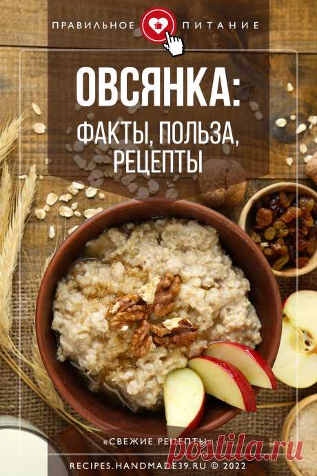 Овсянка: факты, польза, рецепты. Рецепты правильного питания, рецепты полезных завтраков. Овсянка как полезный продукт. Рецепты для детского питания. #пп #правильноепитание #рецепты #овсянка #здоровье