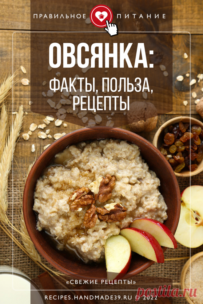 Овсянка: факты, польза, рецепты. Рецепты правильного питания, рецепты полезных завтраков. Овсянка как полезный продукт. Рецепты для детского питания. #пп #правильноепитание #рецепты #овсянка #здоровье