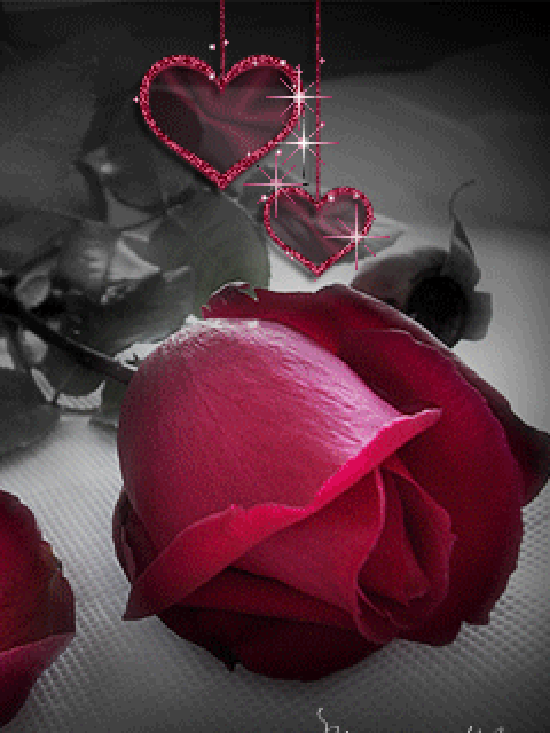 ffd6e200.gif (550×733)