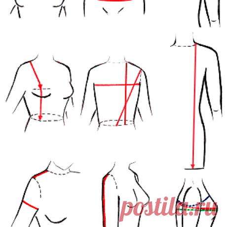 Мерки для построения выкройки плечевого изделия Как правильно снять мерки для построения выкройки платья, блузки, жакета.