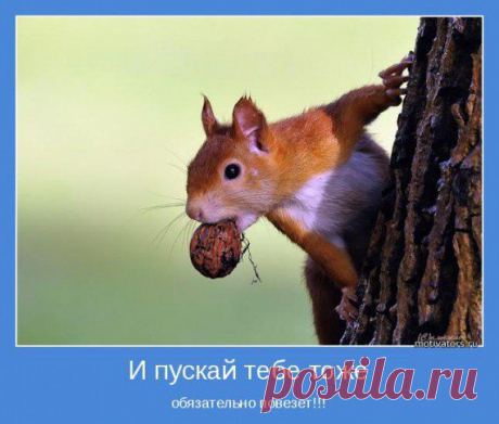 Бизнес ONLINE
#интернет_бизнес #утро #позитив 
Доброе утро,друзья!
Вам обязательно повезет! 
— Тебе повезло.
— Люди вроде тебя всегда думают, что другим повезло. Но мне не везёт. Я сам создаю свою удачу.