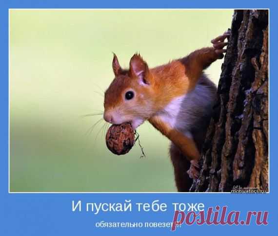 Бизнес ONLINE
#интернет_бизнес #утро #позитив 
Доброе утро,друзья!
Вам обязательно повезет! 
— Тебе повезло.
— Люди вроде тебя всегда думают, что другим повезло. Но мне не везёт. Я сам создаю свою удачу.