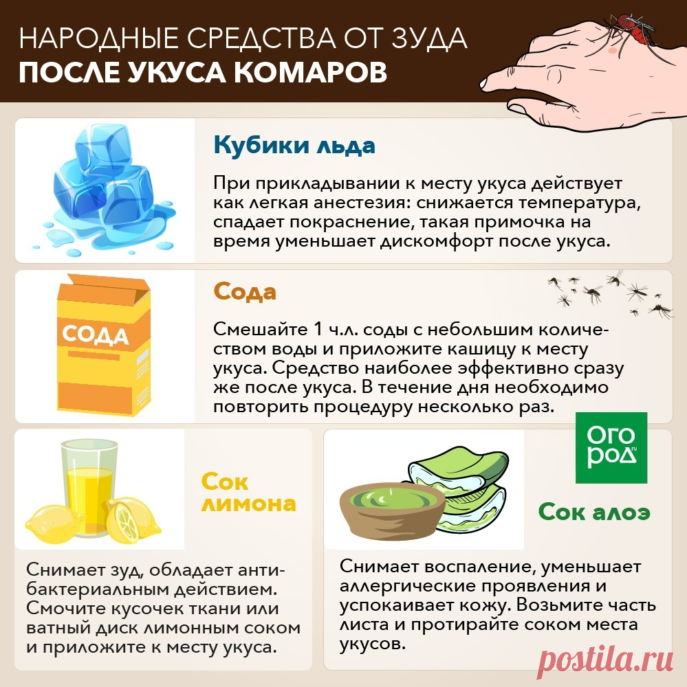 Народные средства от зуда после укуса комаров