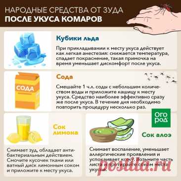 Народные средства от зуда после укуса комаров