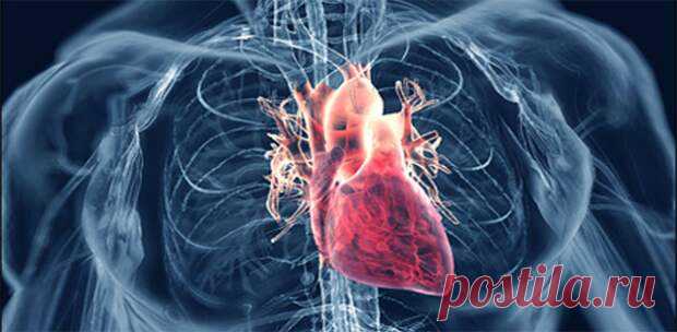 Топ-7 суперпродуктов для снижения высокого артериального давления - Живите Здорово! - медиаплатформа МирТесен Вы страдаете от высокого артериального давления? Вы хотите избежать использования рецептурных препаратов от артериального давления? Попробуйте эти суперпродукты и наслаждайтесь изменениями. Кровяное давление — это сила, прикладываемая кровью на стенках артерий, когда сердце накачивает кровь. Если