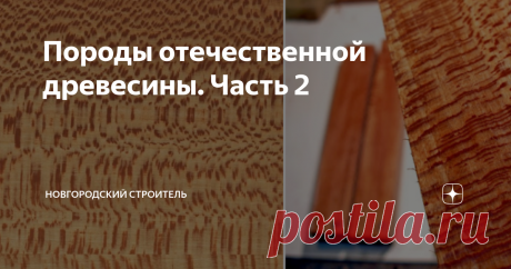 Породы отечественной древесины. Часть 2 Продолжая тему отечественных пород дерева, хочу начать с березы - можно сказать, символа страны. Искренне любимое лично автором дерево, средне-твердое, не всегда действительно хорошего качества - его очень любят древоточцы, но очень приятное в работе. В промышленности березу используют для создания фанеры и шпона, иногда мебели и паркета, в быту - для резьбы, изготовления небольших поделок, мелкой скульптуры. Дерево, к сожалению, пло...