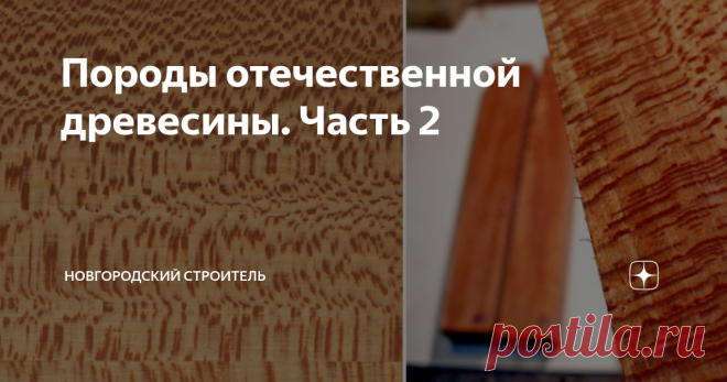 Породы отечественной древесины. Часть 2 Продолжая тему отечественных пород дерева, хочу начать с березы - можно сказать, символа страны. Искренне любимое лично автором дерево, средне-твердое, не всегда действительно хорошего качества - его очень любят древоточцы, но очень приятное в работе. В промышленности березу используют для создания фанеры и шпона, иногда мебели и паркета, в быту - для резьбы, изготовления небольших поделок, мелкой скульптуры. Дерево, к сожалению, пло...