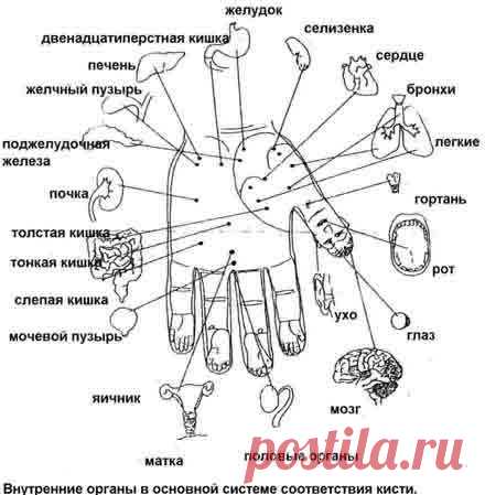 Су Джок терапия