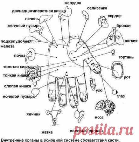 Су Джок терапия