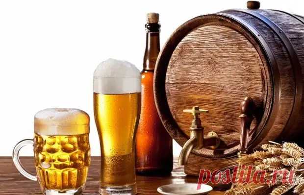 Пиво можно не только пить: 7 способов нетрадиционного использования напитка | Bixol.Ru