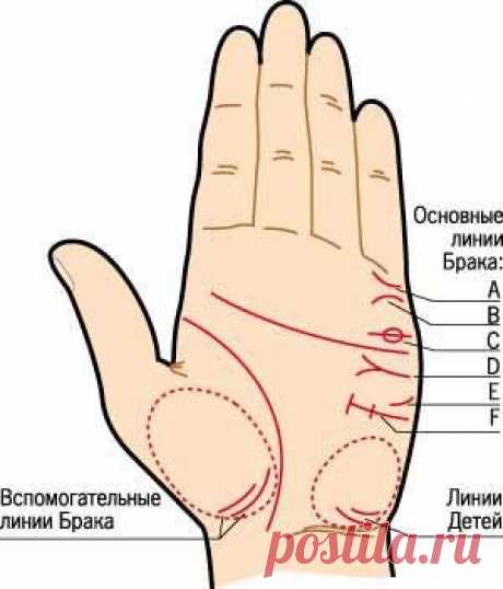 КОГДА Я ВЫЙДУ ЗАМУЖ?      Об этом расскажут четкие линии Брака, которые проходят горизонтально по краю ладони на стороне мизинца и расп...