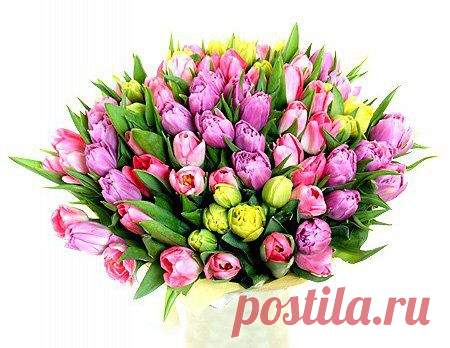 ЭТА МОЛИТВА ЧИТАЕТСЯ ТОЛЬКО РАЗ В ГОДУ.. СИЛА МОЛИТВЫ - НЕИЗМЕРИМА!!  С ДНЕМ РОЖДЕНИЯ
