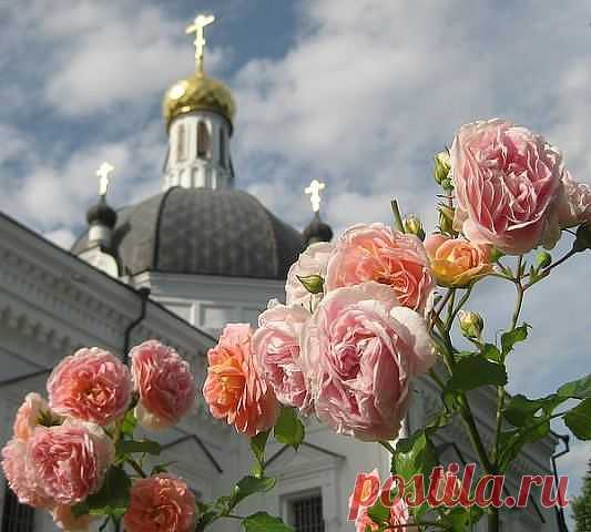 Грешу и каюсь, каюсь и грешу - Стихи - Для души - Статьи - Школа радости