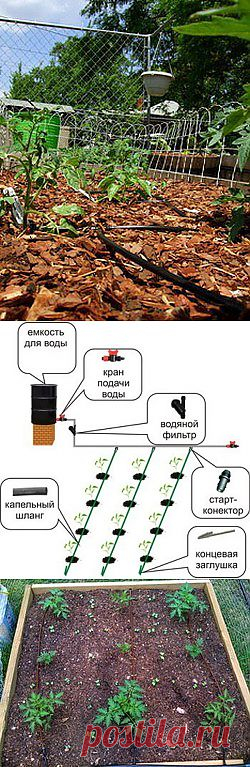 Капельный полив своими руками