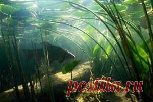 Ловля линя осенью — на что клюет эта рыба