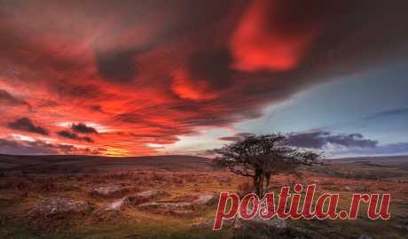 Out on the Wiley, Windy Moors... Things have been getting a bit heated lately so this seemed appropriate - one from the hard drive.  The trouble with heatwaves in the UK is you can’t escape to the air conditioned room can you? as most of us don’t need them at home for 50 weeks of the year.   A rather special Dartmoor sunset from my favourite clump of hawthorns on Combestone Tor.  Couldn't shoot the other way & include the granite tor itself or the sky would have been missi...