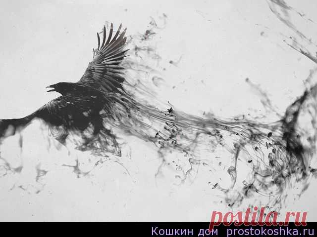 Вызов - отчитка трехдневная
Луна и день не играют никакой роли. Если человек не идет домой или если пропал, то три дня читается эта молитва-зазыв.
На стол постелить черную скатерть, зажечь 9 восковых свечей и на каждую говорить, когда зажигаешь: