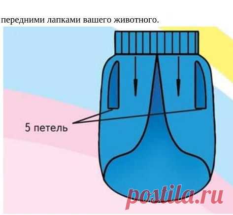 Вяжем для животных - Дарья Владимировна Нестерова - Google Книги