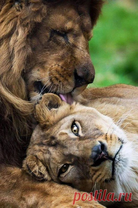 Pinterest