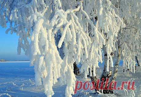 Фразы,Высказывания,Стихи,Цитаты,Видео...
ирина петухова (исмейкина)