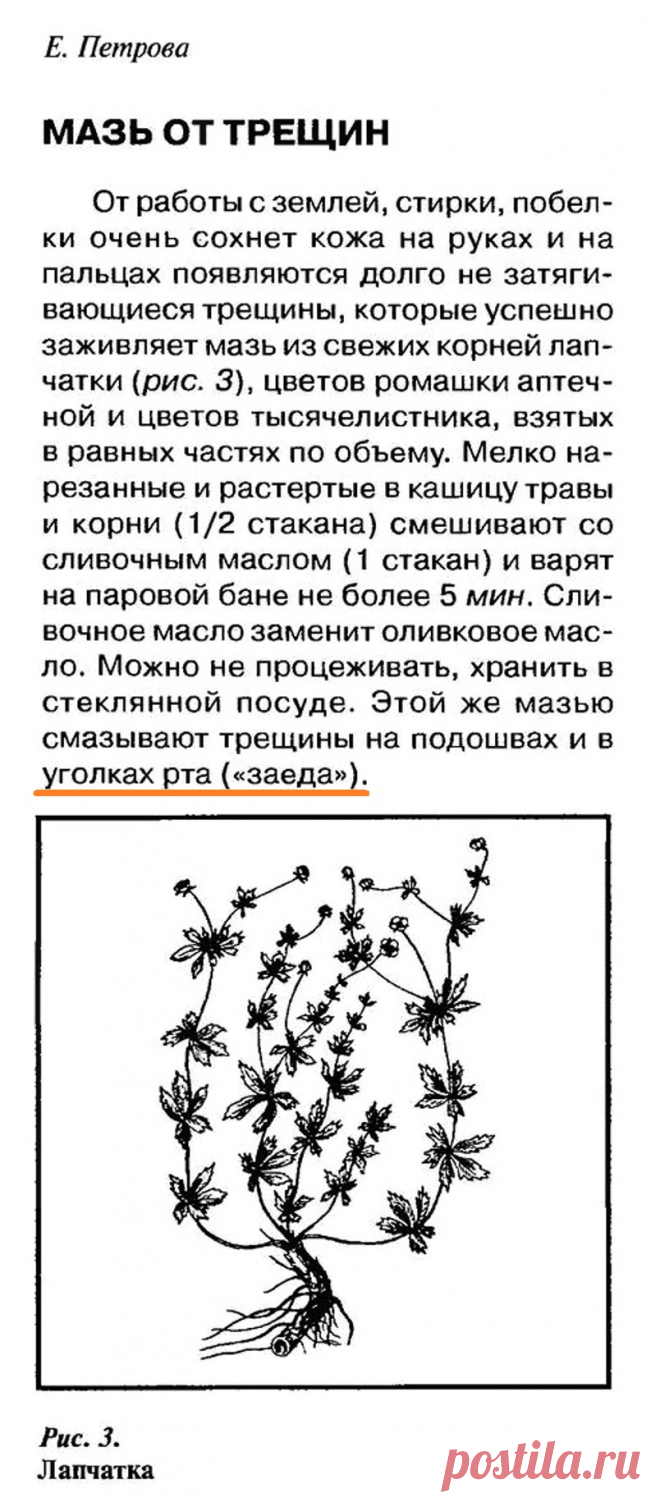 Мазь от трещин в уголках рта ('заеда') | БОЛЯЧКИ: ПОЛОСТЬ РТА, ГЕРПЕС ...