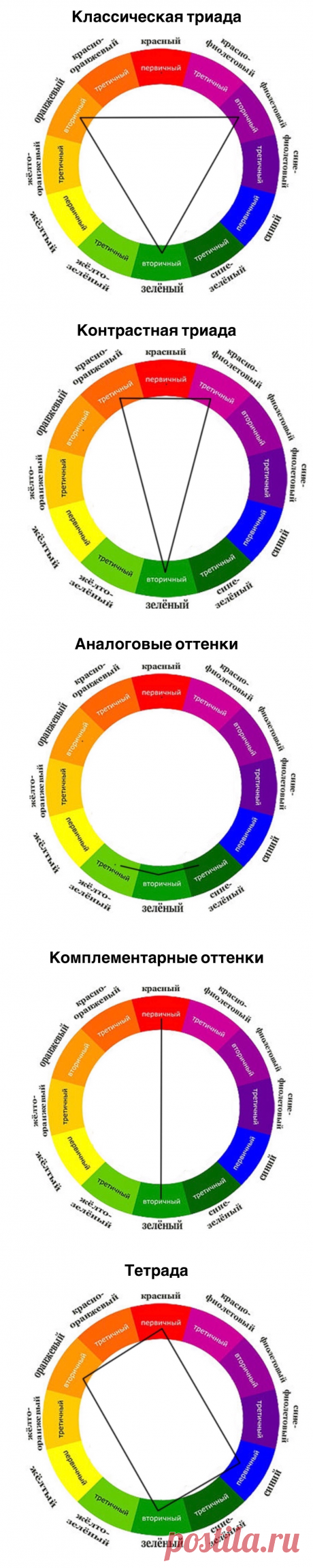 История флористики. От Древнего Египта до современности