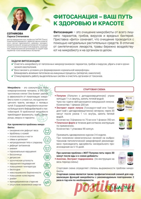 Компания Арго: Фитосанация-безопасное очищение организма